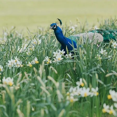 Mill At Broughton Sanctuary Skipton